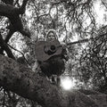 Segall,ty - Hello Hi - Vinyl Record