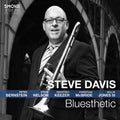 Davis,steve - Bluesthetic - Music CD