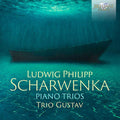 Scharwenka / Trio Gustav - Piano Trios - Music CD