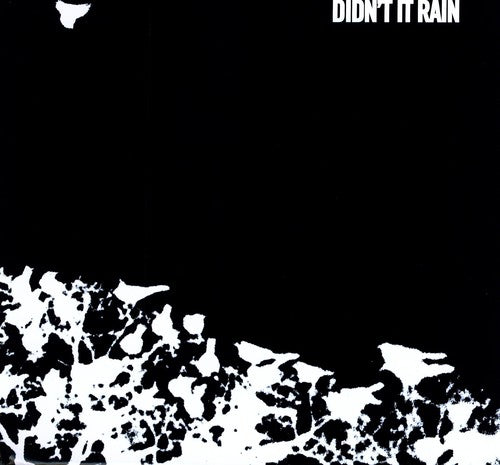 Songs: Ohia - Didn't It Rain - Vinyl Record