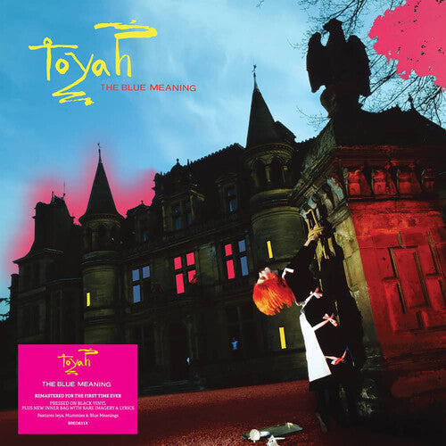 Toyah - Blue Meaning - Black Vinyl Edition