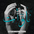 Fathi,shadi / Chemirani,bijan - Awat - Music CD