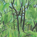 Jannabi - Jannabi A Collection Of Small Music Ii - Music CD