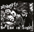 No End In Sight [LP] Vinyl Record