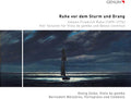 Ruhe / Zeike / Meszaros - Ruhe Vor Dem Sturm Und Drang - Music CD
