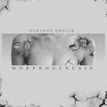 Paradox Obscur - Morphogenesis - Vinyl Record