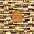 Riley,terry - Organum For Stefano - Music CD