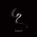 Lunatic Soul - Lunatic Soul - Vinyl Record
