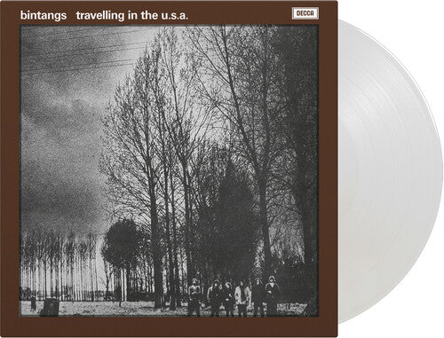 Bintangs - Travelling In The Usa - Vinyl Record