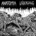 Undergang / Anatomia - Split - Vinyl Record