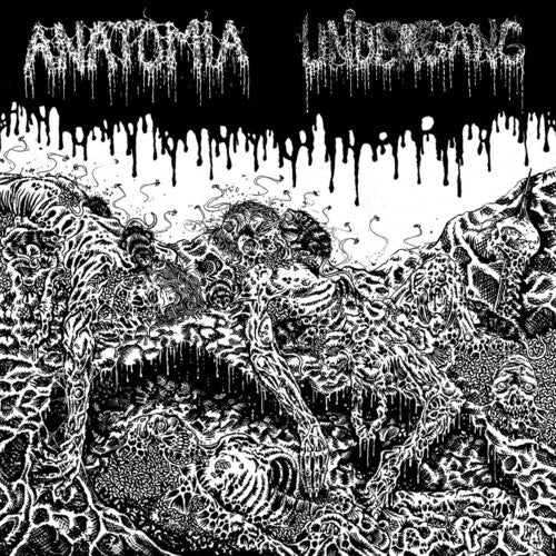 Undergang / Anatomia - Split - Vinyl Record