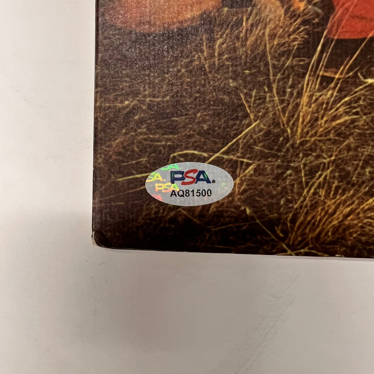 Peter Rowan of Seatrain Signed Seatrain Vinyl Album PSA Autographed