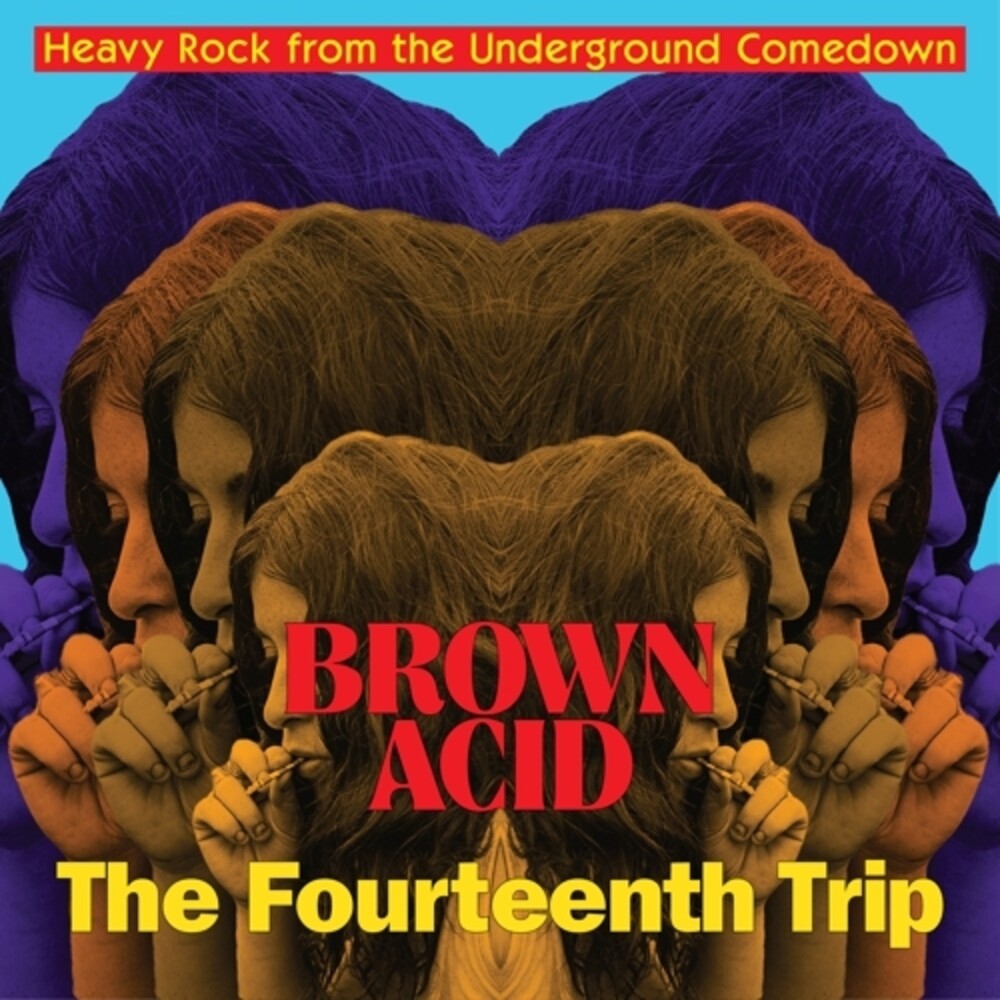 Brown Acid - Fourteenth Trip (Various Artists) [LP] Vinyl Record