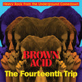 Brown Acid - Fourteenth Trip / Various Artists - Brown Acid - Fourteenth Trip (various Artists) - Music CD