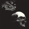 Osees - Foul Form - Music CD