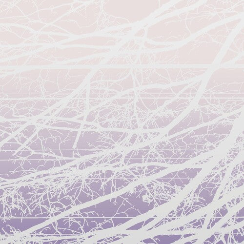 Bertucci,lea - Metal Aether / Resonant Field - Vinyl Record