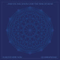 XI: Bleed Here Now [Indie Exclusive Limited Edition Clear w/ Translucent Blue Swirl 2LP] Vinyl Record