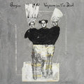 Barzin - Voyeurs In The Dark - Vinyl Record