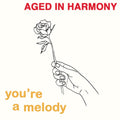 Aged In Harmony - You're A Melody - Vinyl Record