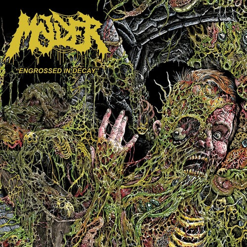 Molder - Engrossed In Decay - Music CD