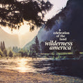 Wilderness America A Celebration Of The Land / Var - Wilderness America A Celebration Of The Land / Var - Vinyl Record