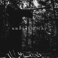 Undirheimar - Vardlokkur - Music CD