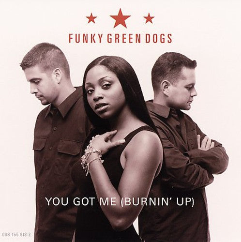 Funky Green Dogs - You Got Me (burnin Up) - Vinyl Record