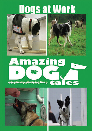 Amazing Dog Tales - Dogs At Work - Amazing Dog Tales - Dogs At Work - DVD