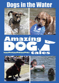 Amazing Dog Tales - Dogs In The Water - Amazing Dog Tales - Dogs In The Water - DVD