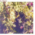 Sr Chinarro - Sr Chinarro (debut) - Vinyl Record