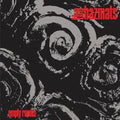 Hazmats - Empty Rooms - Vinyl Record