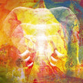 Join The Din - Elephants In Autumn Rage - Music CD