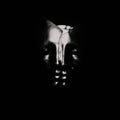 Bullet For My Valentine - Bullet For My Valentine - Music CD