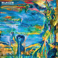 Wynne,ed (ozric Tentacles) - Tumbling Through The Floativerse - Music CD