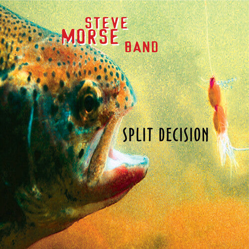 Morse,steve Band - Split Decision - Music CD