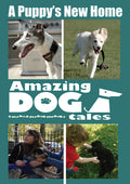 Amazing Dog Tales A Puppy's New Home - Amazing Dog Tales A Puppy's New Home - DVD