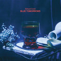 Midnight Garden - Blue Tomorrows - Vinyl Record