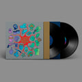 Los Punsetes - Espana Necesita Conocer - Vinyl Record