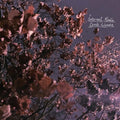 Eerie Wanda - Internal Radio - Lavender - Vinyl Record