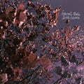 Internal Radio [Lavender LP] Vinyl Record