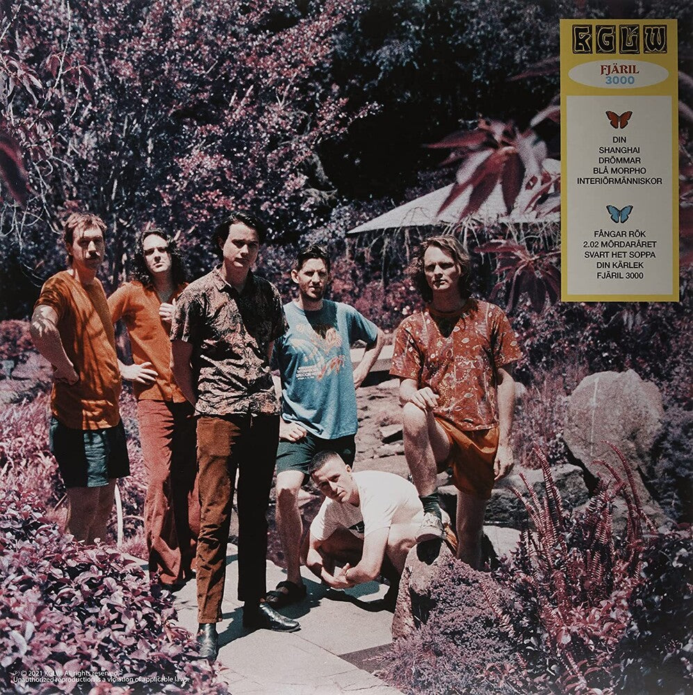 Butterfly 3000 [Indie Exclusive Limited Edition Swedish LP] Vinyl Record