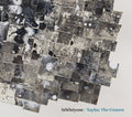 Lehman,steve / Selebeyone - Xaybu: The Unsee - Music CD
