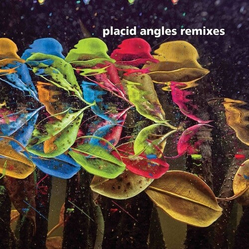 Placid Angles - Touch The Earth Remixes - Vinyl Record
