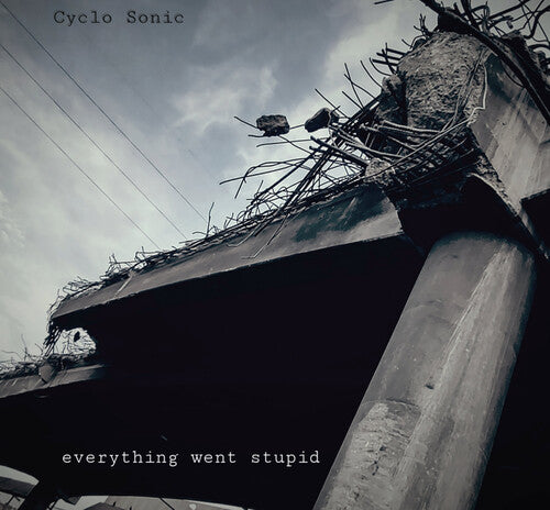 Cyclo-sonic - Everything Went Stupid - Vinyl Record