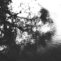 Alluring The Distant Eye [LP] Vinyl Record