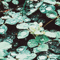 Sadness - Rain Chamber - Music CD