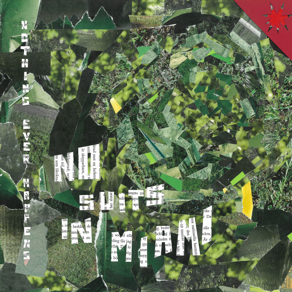 Nothing Ever Happens [LP] Vinyl Record