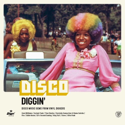 Disco Diggin / Various - Disco Diggin / Various - Vinyl Record