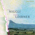 Niggli,lucas / Loibner,matthias - Still Storm - Music CD