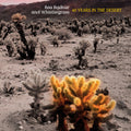 Bodnar,lisa & Whistlegrass - 40 Years In The Desert - Music CD